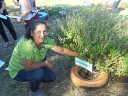 CRAS de Lagoa está cultivando Horto de Plantas Medicinais