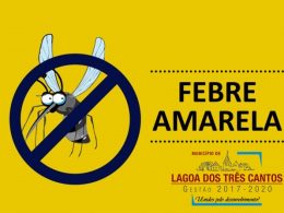 Febre Amarela, ocorrência no verão