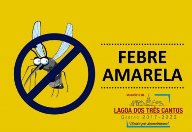 Febre Amarela, ocorrência no verão