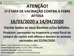 1ª ETAPA DA VACINAÇÃO CONTRA A FEBRE AFTOSA