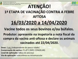 1ª ETAPA DA VACINAÇÃO CONTRA A FEBRE AFTOSA