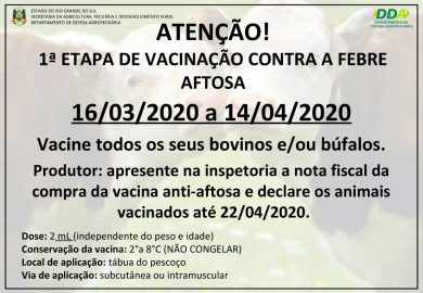 1ª ETAPA DA VACINAÇÃO CONTRA A FEBRE AFTOSA