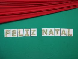 Encerramento das Atividades do Ano Letivo da E.M.E.F Dona Leopoldina