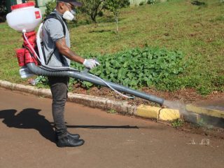 Dedetização em Lagoa dos Três Cantos