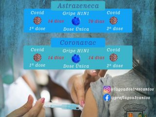 Como intercalar vacinas contra a Covid-19 e vacina contra a gripe H1N1