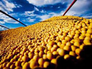 Lagoa dos Três Cantos produziu mais de 44 mil toneladas de grãos na safra de verão 2020/2021