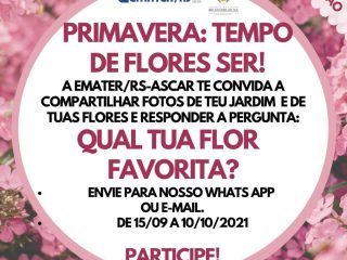 Projeto Primavera, Tempo de Flores Ser
