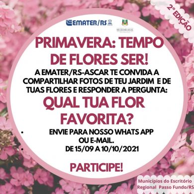 Projeto Primavera, Tempo de Flores Ser