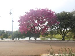 As cores da Lagoa dos Três Cantos