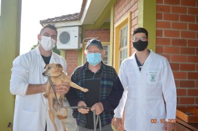 Lagoa dos Três Cantos promoveu campanha de vacinação em cães do município
