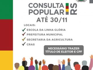 Consulta Popular