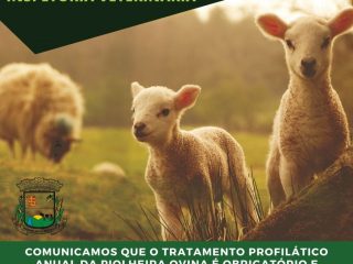 Tratamento da piolheira ovina