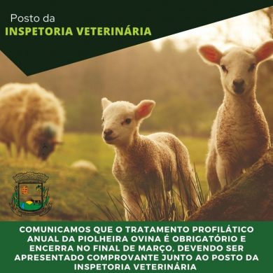 Tratamento da piolheira ovina