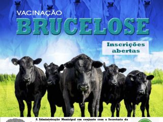 Vacina contra brucelose