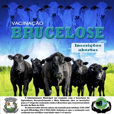 Vacina contra brucelose