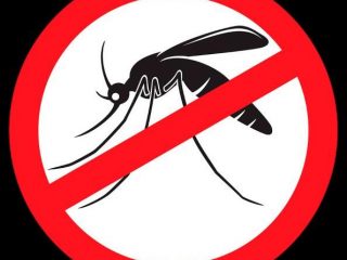 Campanha de combate ao mosquito Aedes aegypti em Lagoa dos Três Cantos