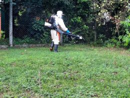 Confirmado o1º caso de Dengue em Lagoa dos Três Cantos