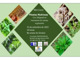 Curso de Plantas Medicinais