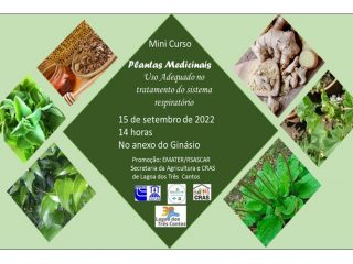 Curso de Plantas Medicinais
