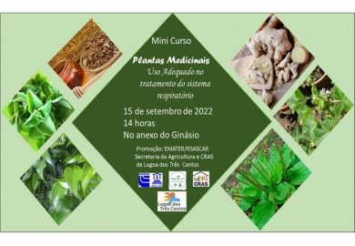 Curso de Plantas Medicinais