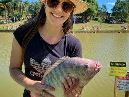 Pesca na Lagoa, mais de 80Kg de peixes retirados da água