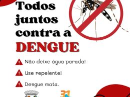 Confirmados 2 casos de dengue em Lagoa dos Três Cantos
