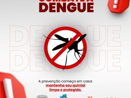 Situação de emergência sanitária no Estado
