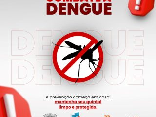 Situação de emergência sanitária no Estado