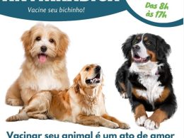 Vacinação Antirrábica