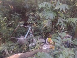 Informações do Departamento de Meio Ambiente de Lagoa dos Três Cantos