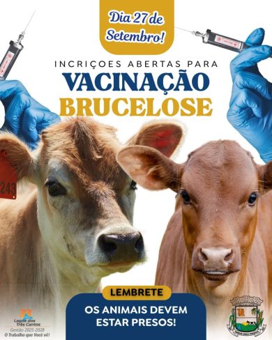 Vacinação contra a brucelose