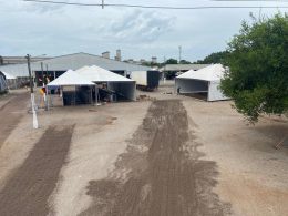 Lagoa dos Três Cantos intensifica preparativos para a 24ª Lagoa Fest