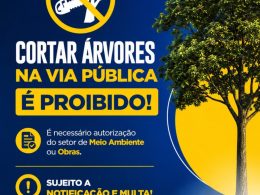 Corte de árvores em via pública exige autorização em Lagoa dos Três Cantos