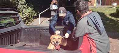 Campanha de vacinação antirrábica canina