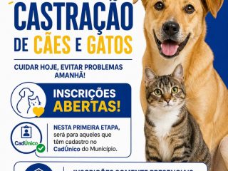 Município abre inscrições para castração de cães e gatos destinadas a famílias cadastradas no CadÚnico