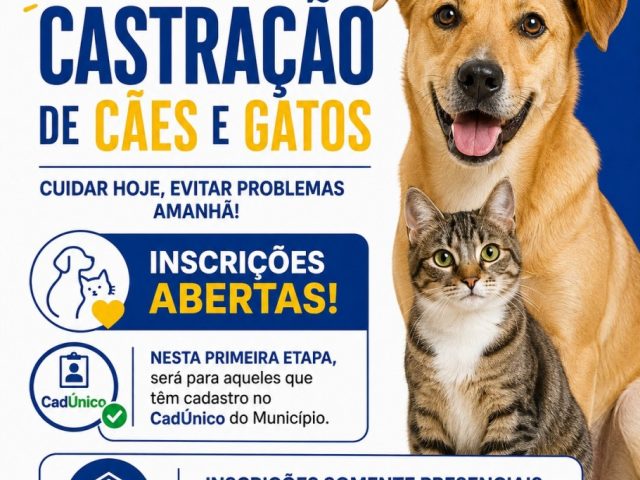 Município abre inscrições para castração de cães e gatos destinadas a famílias cadastradas no CadÚnico