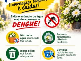 Dia de Finados: cuidado com os cemitérios também contribui para a prevenção da dengue